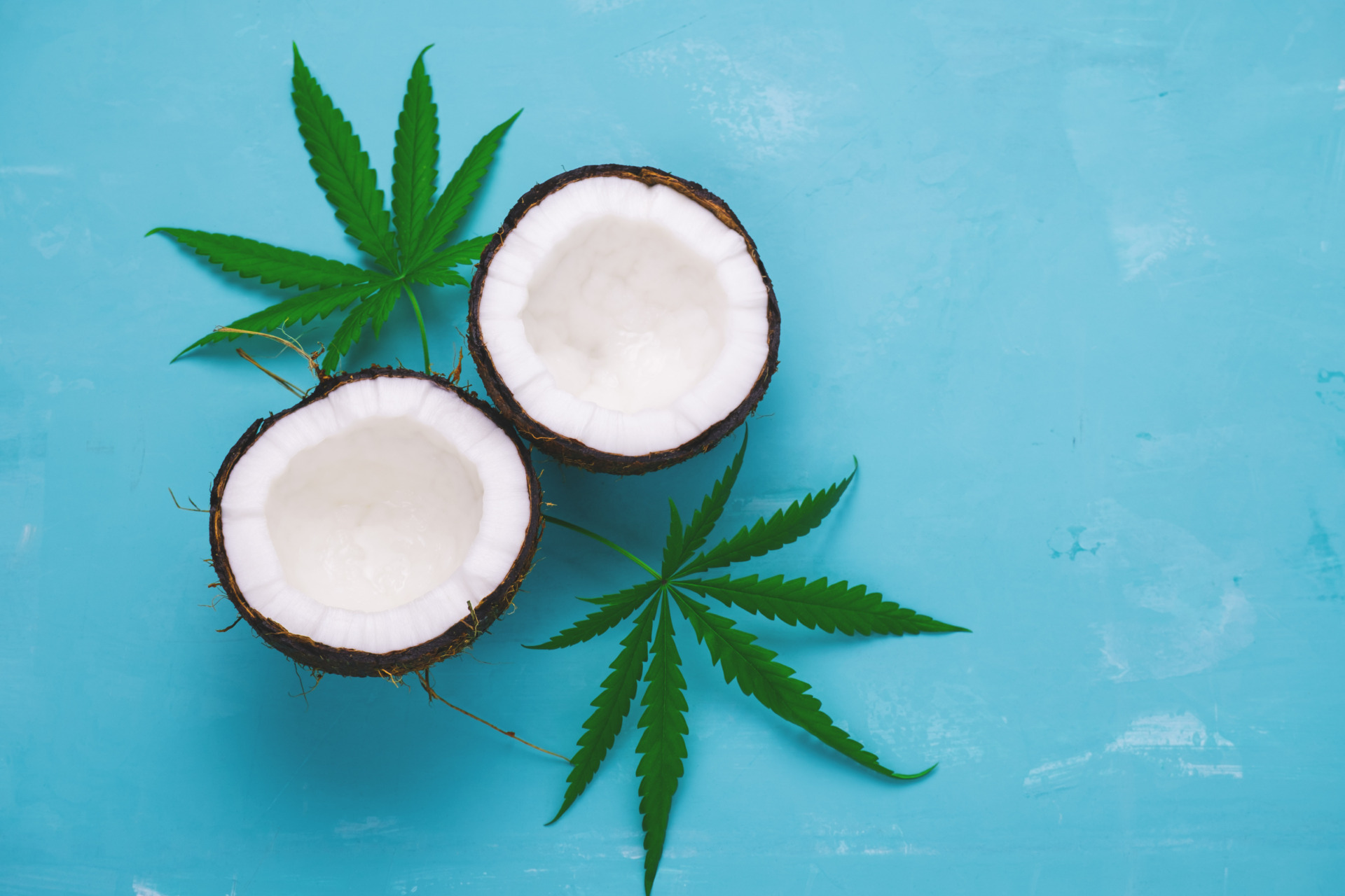 Top,View,Flat,Lay,Coconut,And,Marijuana,Leaves,On,A
