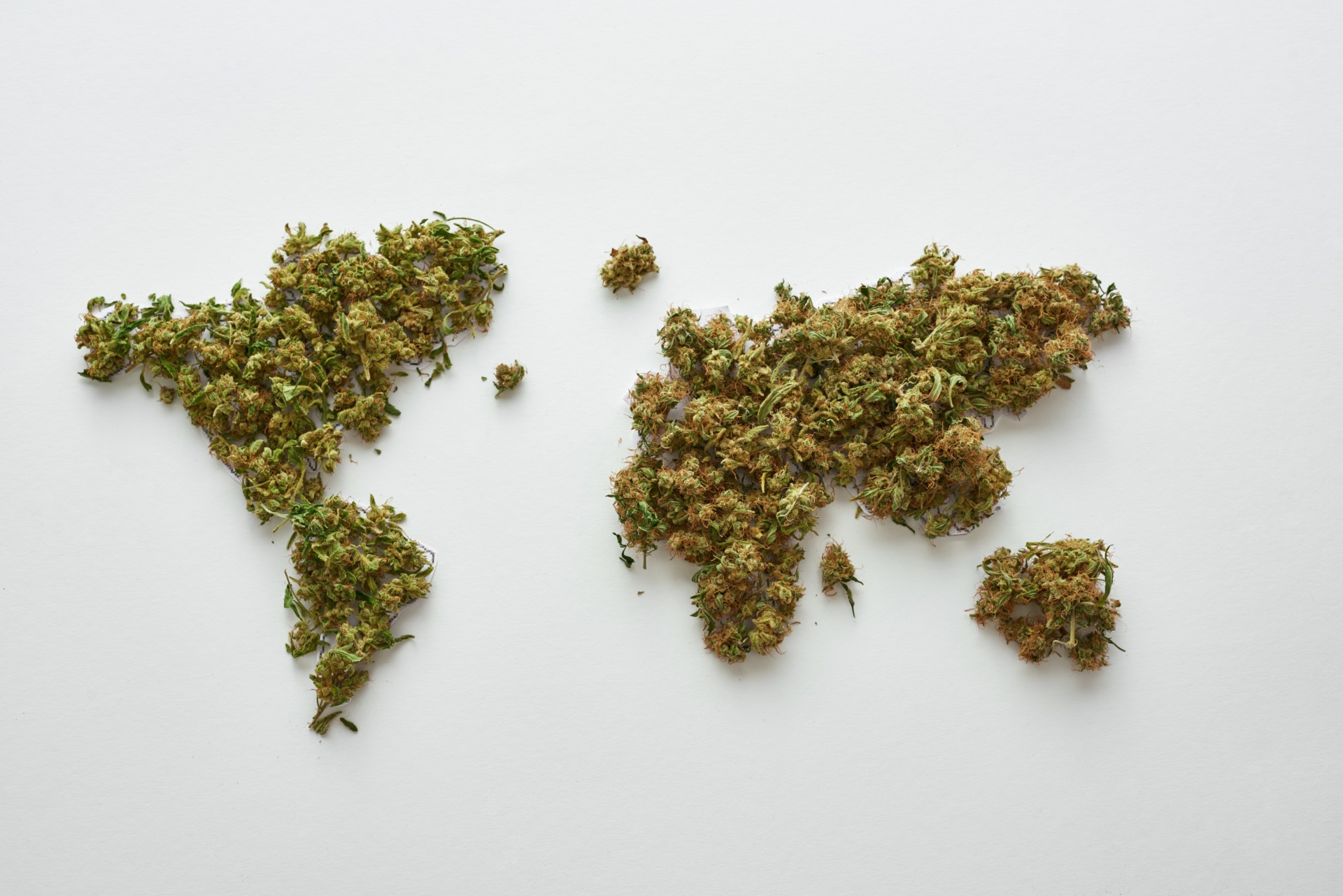 World,Map,From,Dry,Natural,Homemade,Organic,Marijuana,Buds,Isolated